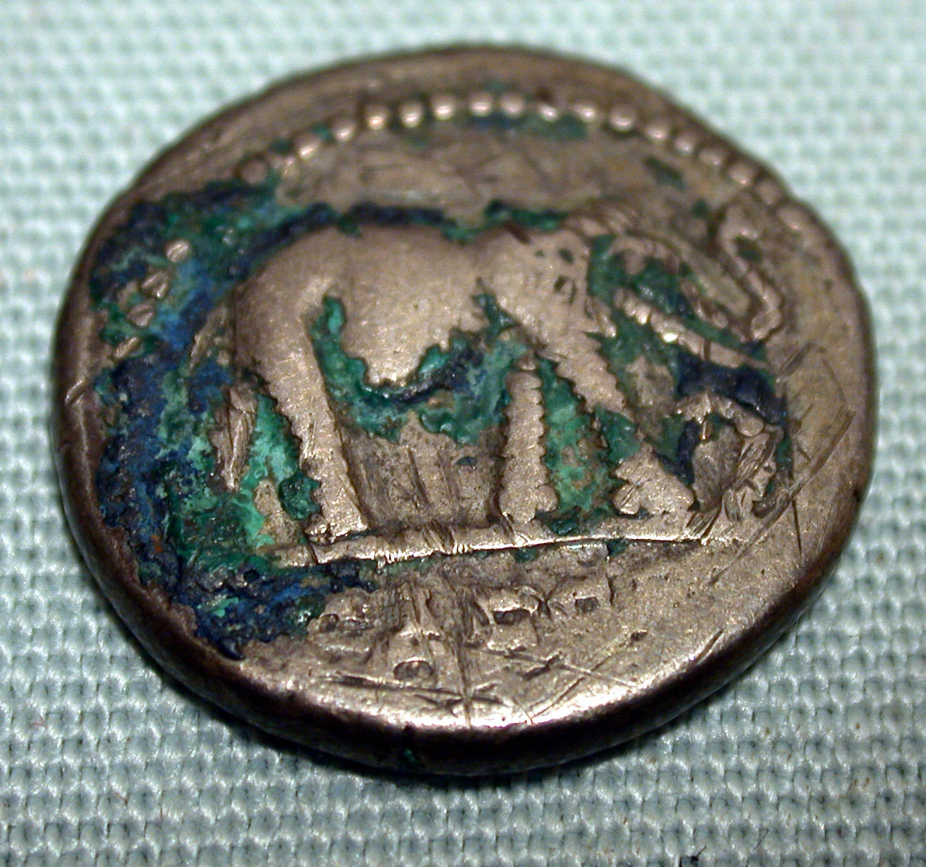 A worn silver Roman denarius showing an elephant in relief trampling a small serpent-like creature, with green and blue mineral corrosion visible in the recesses of the design