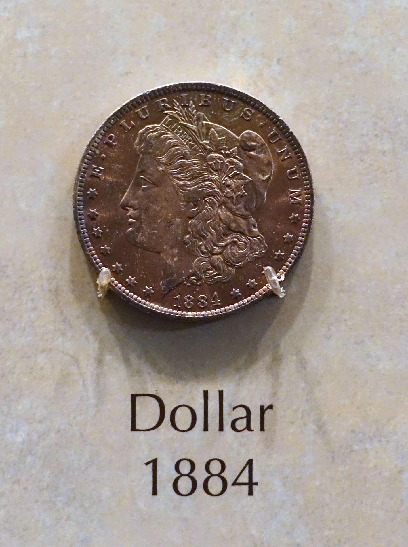 A Morgan silver dollar dated 1884, mounted for exhibit at a museum with a printed label reading "Dollar, 1884" beneath it